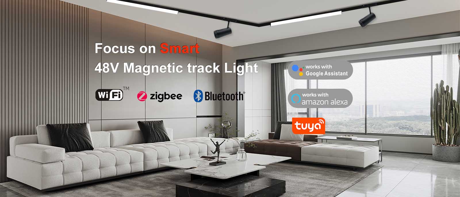 48V Magnetic track light 